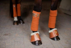Equestrian Stockholm Fleece Bell Boots Bronze Gold -Equestrian Supplies bronze gold bandages equestrian stockholm 3 webb 886c9195 f21c 4acc 8c0d e1749a12f076