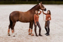 Equestrian Stockholm Fleece Brushing Boots Bronze Gold -Equestrian Supplies bronze gold legprotection equestrian stockholm 1 webb