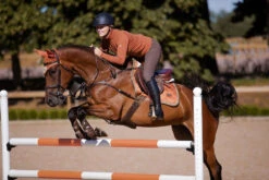 Equestrian Stockholm Jump Saddle Pad Bronze Gold -Equestrian Supplies bronze gold showjumppadd equestrian stockholm 3 webb