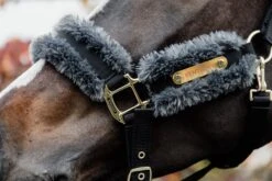 Equestrian Supplies -Equestrian Supplies cac7b680c0d9f2995d9e04d327cd623a5d1abf1c00f4edd3c9c94a1851238c51