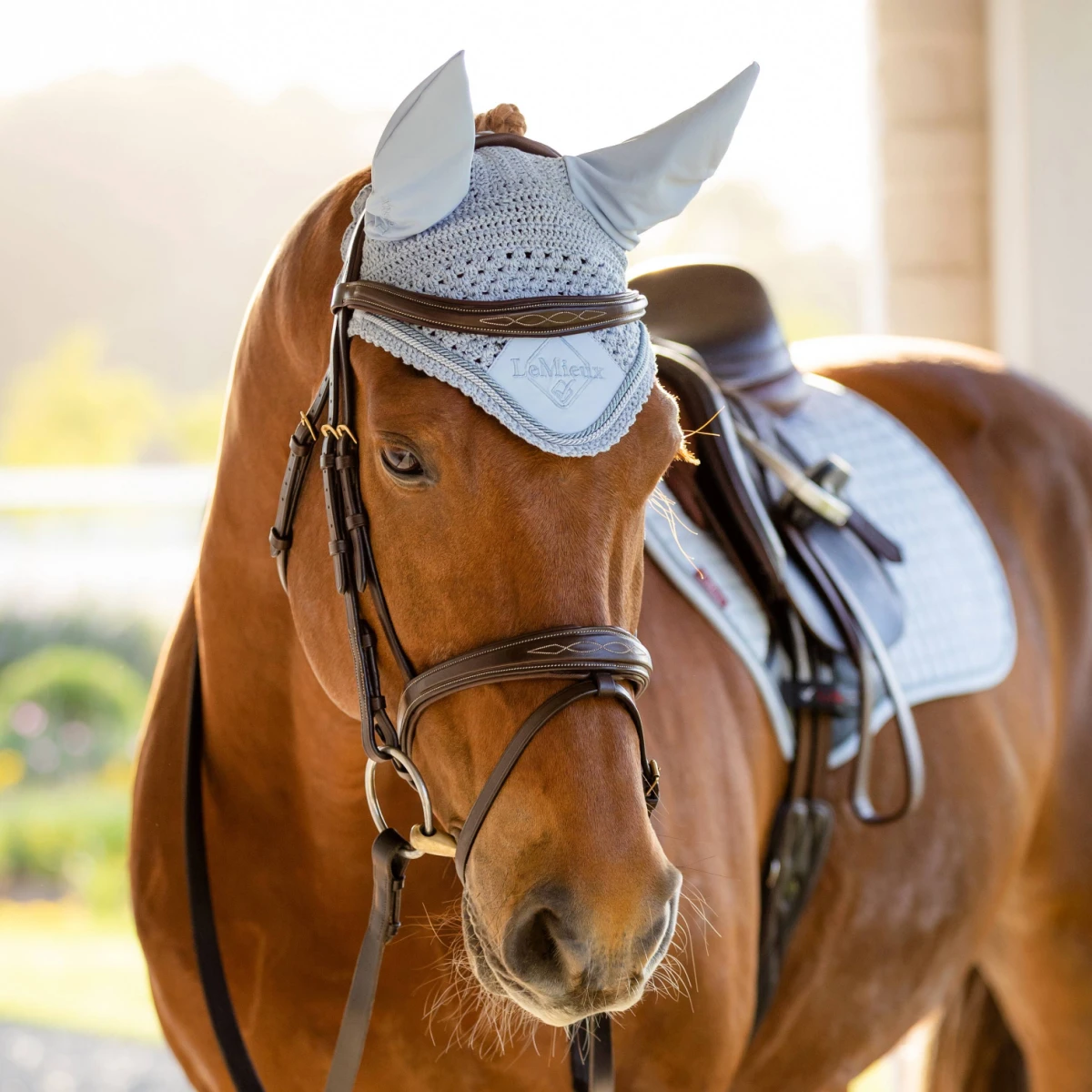 LeMieux Classic Ear Bonnet Mist 2 LeMieux Classic Ear Bonnet Mist - Image 2