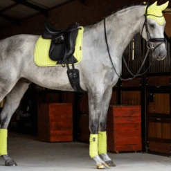 LeMieux Classic Bandages Kiwi -Equestrian Supplies carbonmeshboots 5 86507dcc 6f71 422d 88b3 b16872969980