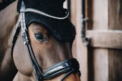 Kentucky Glitter Band Soundless Wellington Ear Bonnet Black 5 Kentucky Glitter Band Soundless Wellington Ear Bonnet Black -Equestrian Supplies cc30f285c97ac15cfd943e7ab46467f9dfa4690e5303b6a0dfeb51af0e4f9d70
