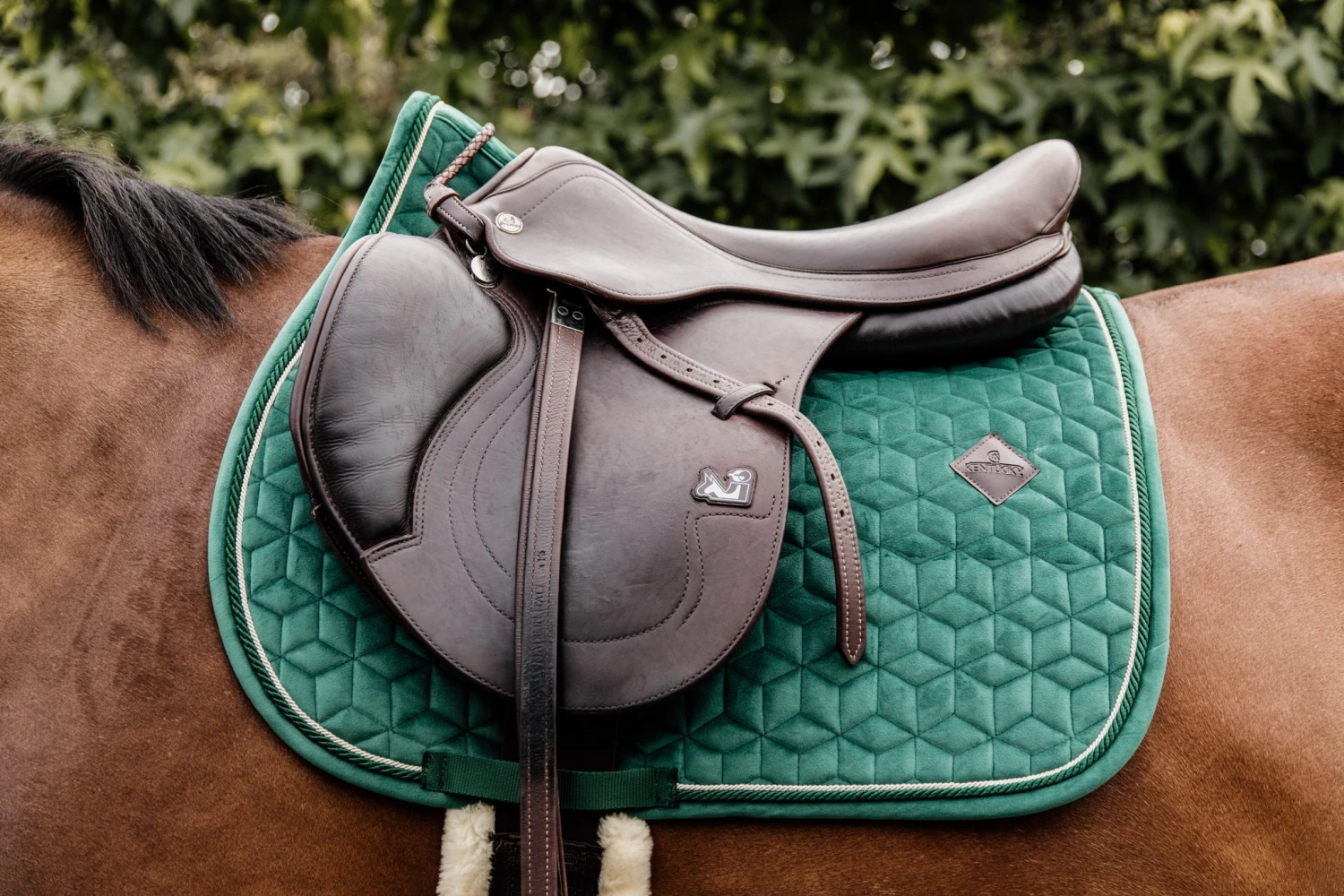Kentucky Velvet Jump Saddle Pad Dark Green 2 Kentucky Velvet Jump Saddle Pad Dark Green - Image 2