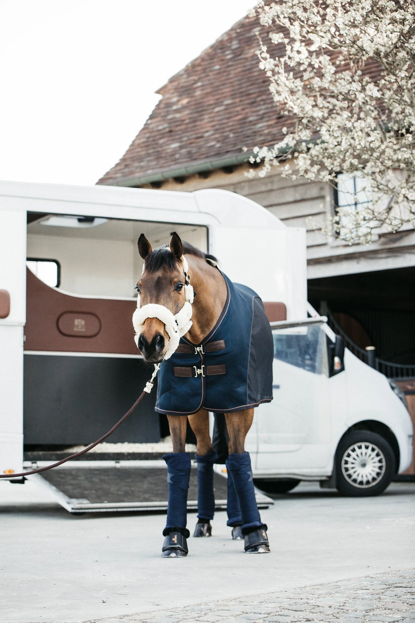 Kentucky Sheepskin Shipping Halter Natural 4 Kentucky Sheepskin Shipping Halter Natural - Image 4