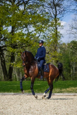 Equestrian Stockholm Dressage Saddle Pad Navy No Boundaries 7 Equestrian Stockholm Dressage Saddle Pad Navy No Boundaries -Equestrian Supplies dressage saddle pad leather deluxe 4