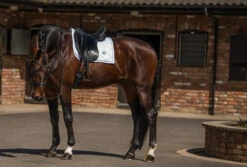 Equestrian Stockholm Bandages White Perfection Silver -Equestrian Supplies dressage saddle pad white perfection silver