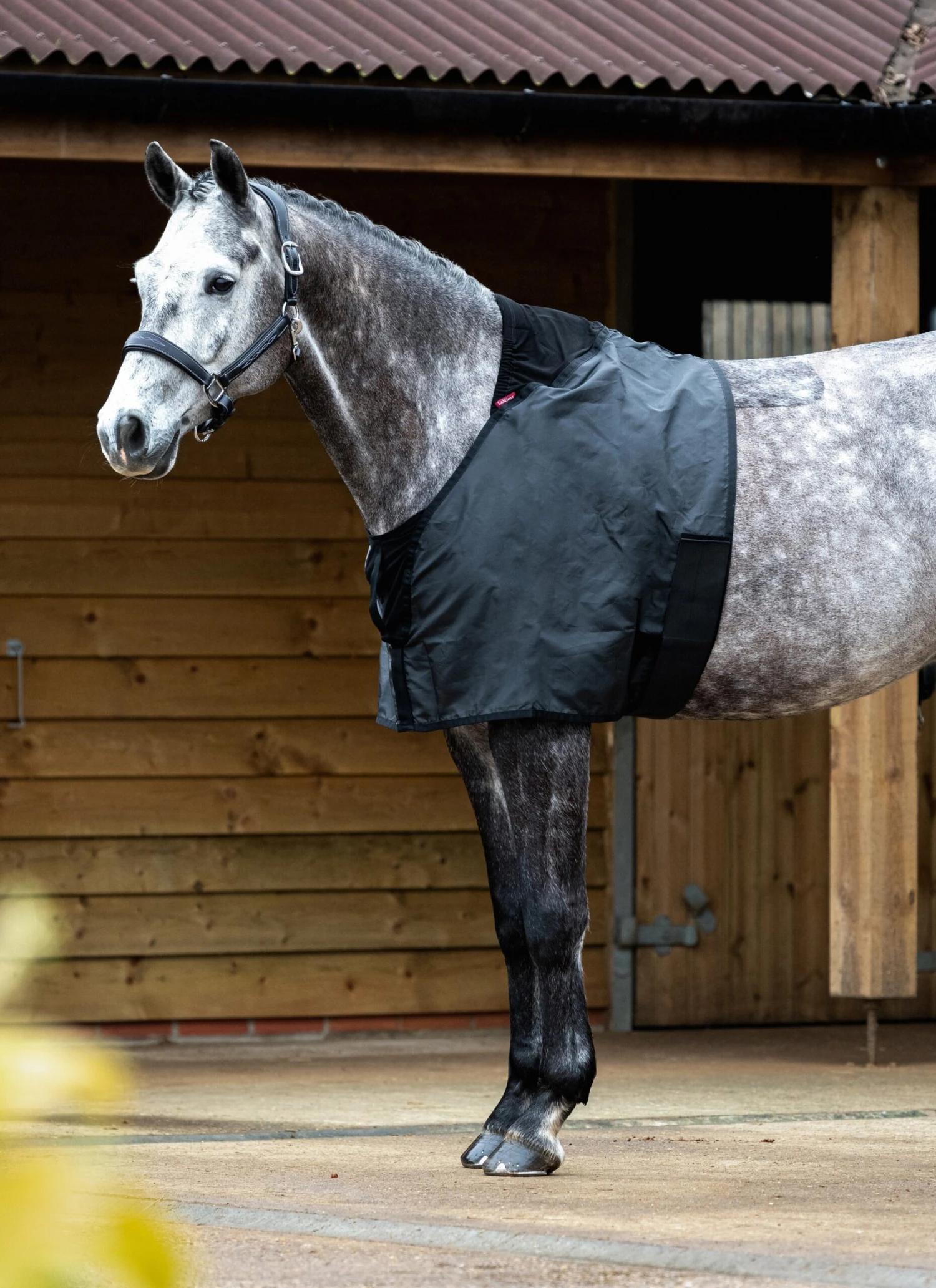 LeMieux Anti Rub Bib 1 LeMieux Anti Rub Bib