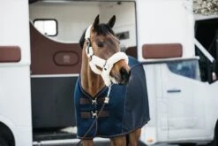 Kentucky Sheepskin Shipping Halter Natural 7 Kentucky Sheepskin Shipping Halter Natural -Equestrian Supplies e502eeee525627a4b4770730a9ccef20815376a242648637c9a57b52f66e6c49