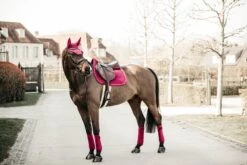 Kentucky Velvet Jump Saddle Pad Fuchsia -Equestrian Supplies e9ad00463a98c8f45fa693db15e9d7713521197522e91ac4fcd6c62ac9f511c5