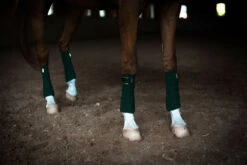 Equestrian Stockholm Bandages Forest Green -Equestrian Supplies fleece bandages forest green esstockholm 2