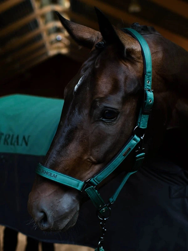 Equestrian Stockholm Halter & Lead Sycamore Green 2 Equestrian Stockholm Halter & Lead Sycamore Green - Image 2