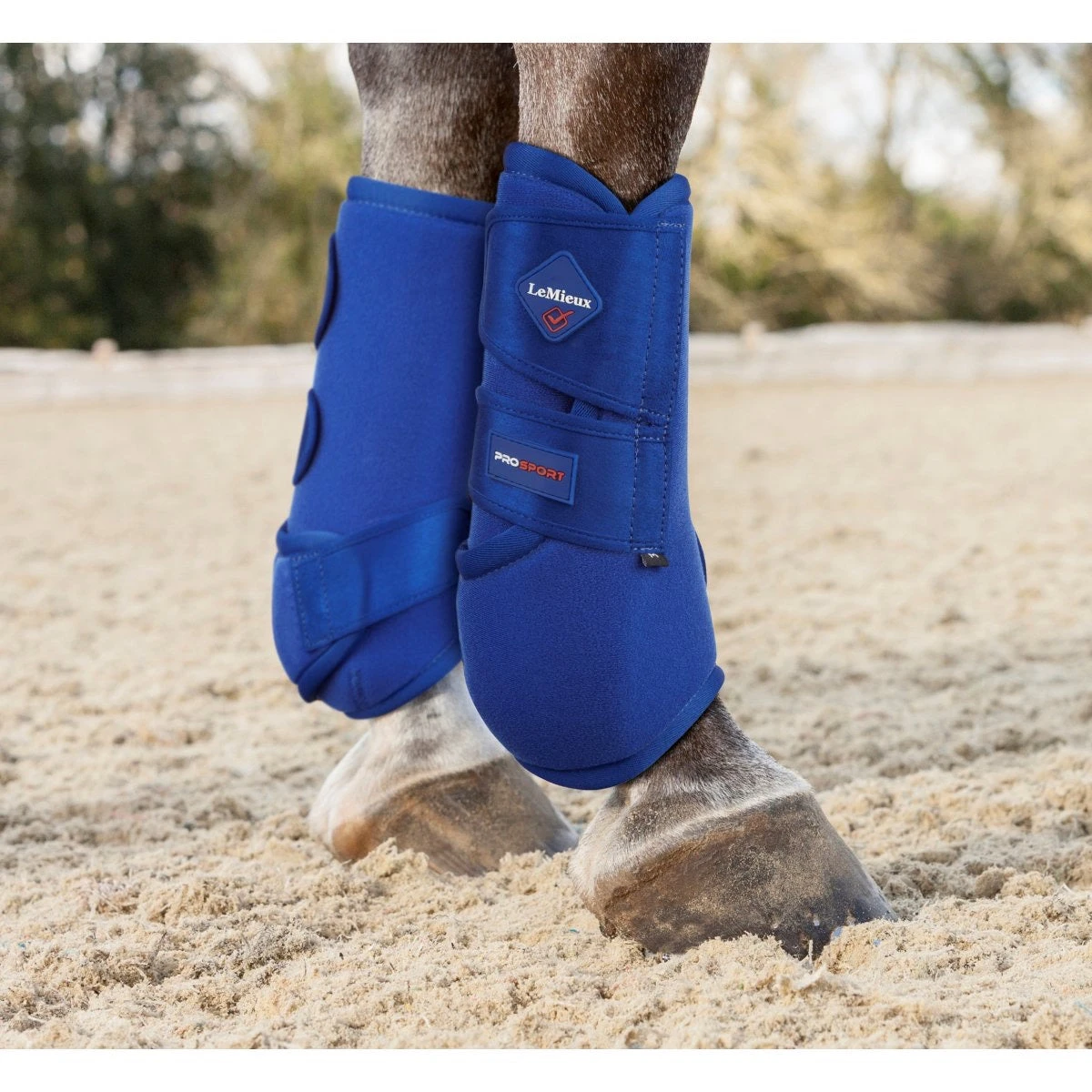 LeMieux Support Boots Benetton Blue 2 LeMieux Support Boots Benetton Blue - Image 2