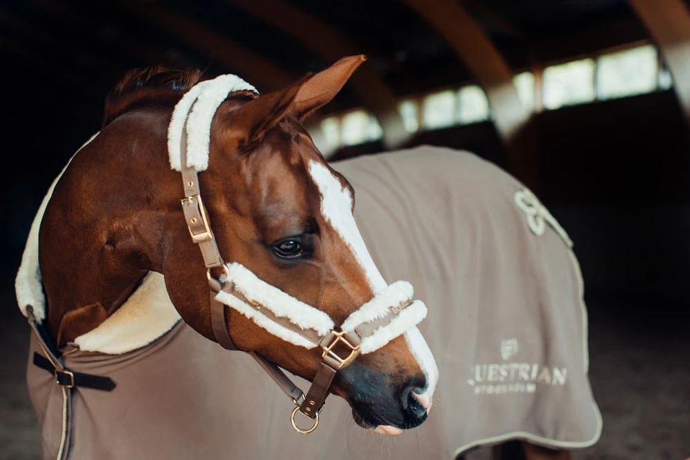 Equestrian Stockholm Fleece Headcollar & Lead Champagne 1 Equestrian Stockholm Fleece Headcollar & Lead Champagne