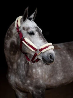 Equestrian Stockholm Fleece Headcollar & Lead Bordeaux -Equestrian Supplies image 9e9a3b14 f59e 4365 8789 f3a9e2c5235c