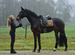 Equestrian Stockholm Dressage Saddle Pad Golden Brass -Equestrian Supplies image bbb50246 81ff 40d5 a40e 34c35107ed6b