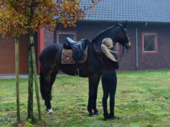 Equestrian Stockholm Dressage Saddle Pad Golden Brass -Equestrian Supplies image dafc7067 4357 43ad 8ec6 936b2ce65fd4