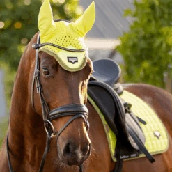 LeMieux Loire Classic Dressage Saddle Pad Kiwi 5 LeMieux Loire Classic Dressage Saddle Pad Kiwi -Equestrian Supplies lemieux 11 0a82d741 d24b 49cb b221 c8ec348abe56