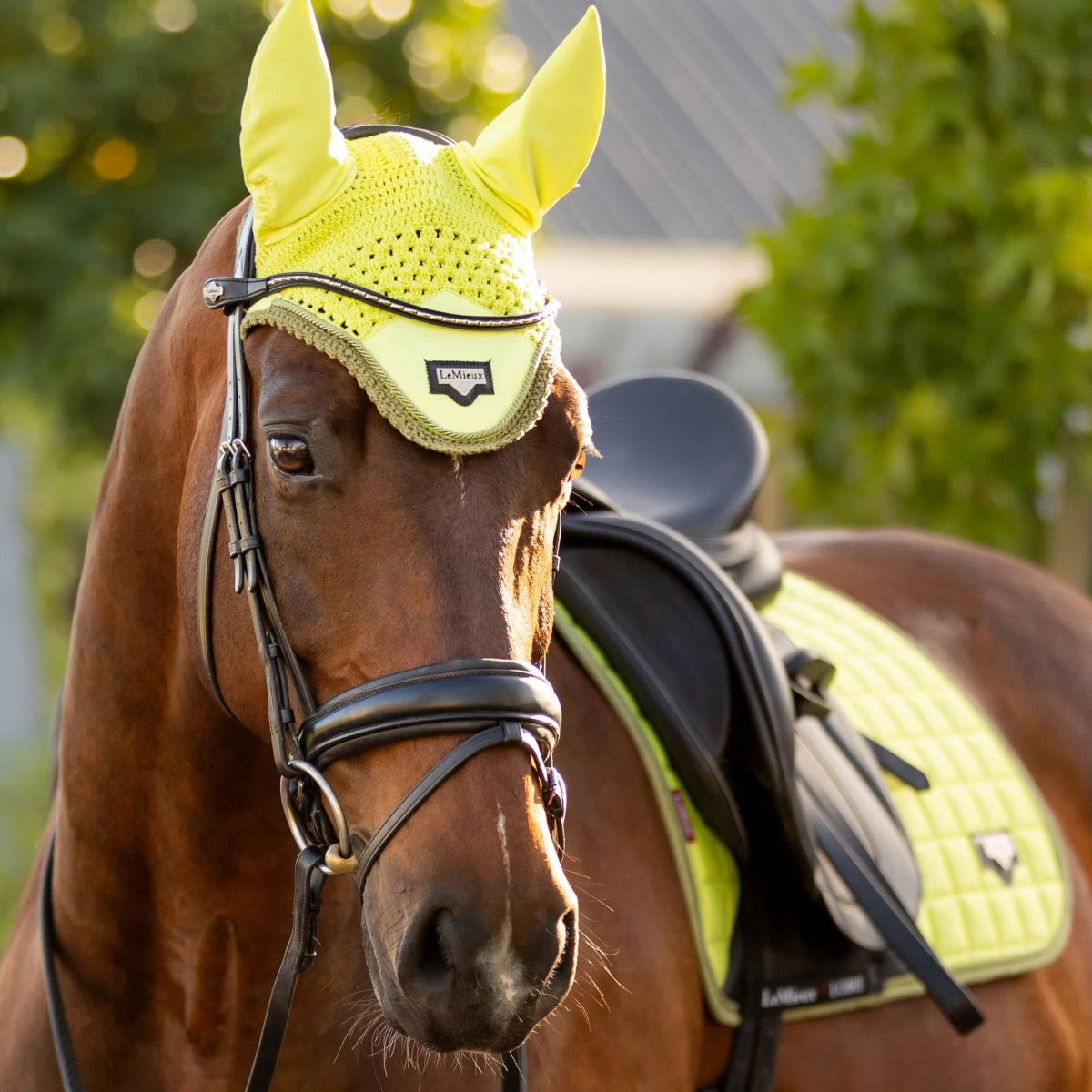 LeMieux Loire Classic Dressage Saddle Pad Kiwi 3 LeMieux Loire Classic Dressage Saddle Pad Kiwi - Image 3