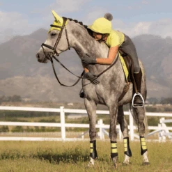 LeMieux Grafter Brushing Boots Kiwi -Equestrian Supplies lemieux 13 9f2a27ce 2af4 4ed3 a964 bba3f8f3a0f2