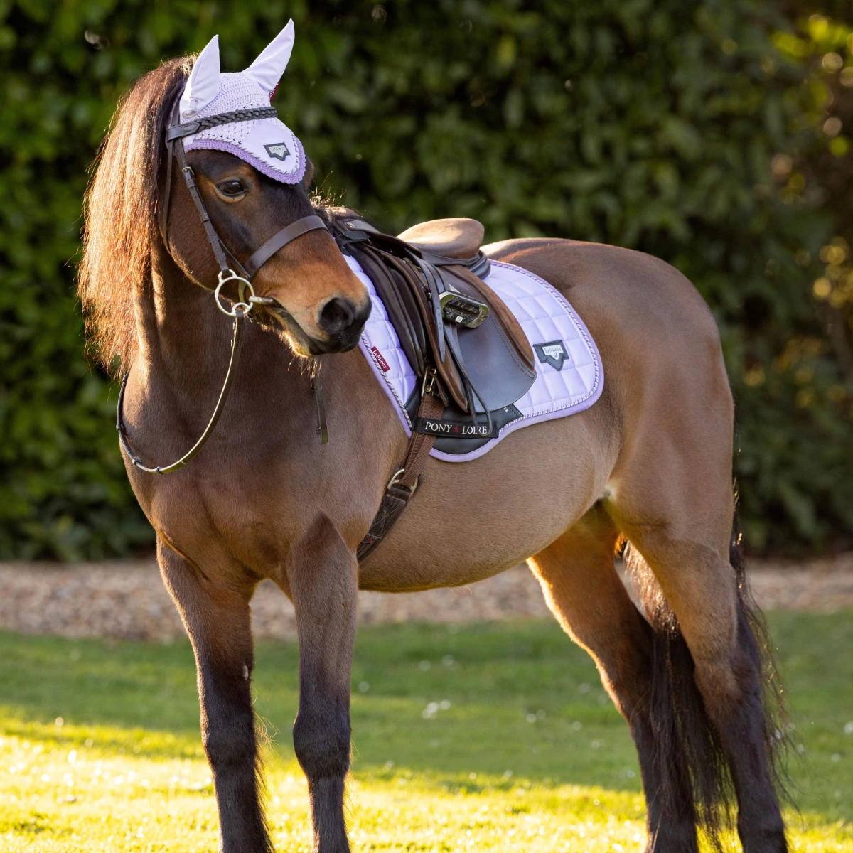 LeMieux Junior Loire Ear Bonnet Wisteria 2 LeMieux Junior Loire Ear Bonnet Wisteria - Image 2