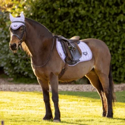 LeMieux Junior Loire Ear Bonnet Wisteria 5 LeMieux Junior Loire Ear Bonnet Wisteria -Equestrian Supplies lemieux 16 0da11cea 8d28 4bb8 985e d1a29f4c305e