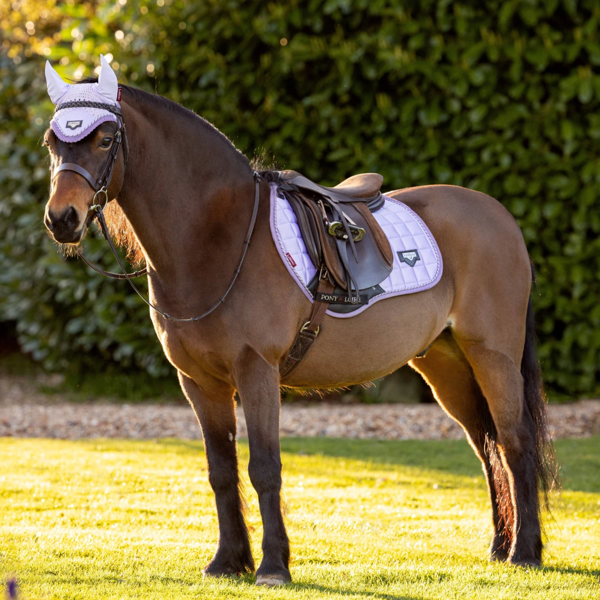 LeMieux Junior Loire Ear Bonnet Wisteria 3 LeMieux Junior Loire Ear Bonnet Wisteria - Image 3