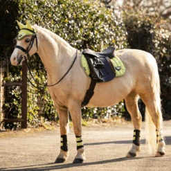 LeMieux Junior Loire Ear Bonnet Kiwi -Equestrian Supplies lemieux 17 badb5ccd aa0e 4de3 986d bbbbb1dd1a46