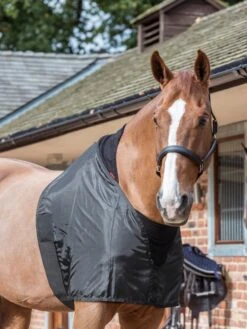 LeMieux Anti Rub Bib 6 LeMieux Anti Rub Bib -Equestrian Supplies lm antirubbib1 hr3000x4000 2