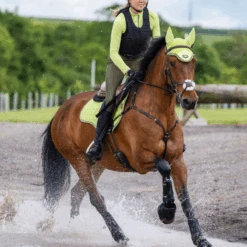 LeMieux Base Layer Kiwi 7 LeMieux Base Layer Kiwi -Equestrian Supplies lm baselayer kiwi5 hr 4