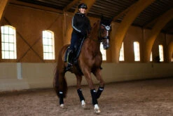 Equestrian Stockholm Ear Bonnet Luminous Black 6 Equestrian Stockholm Ear Bonnet Luminous Black -Equestrian Supplies luminous black ear net huva fliegenhaube oornetje on2