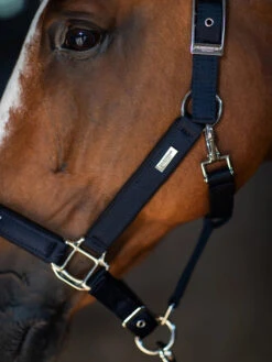 Equestrian Stockholm Clean Halter & Lead Rope Modern Tech Navy -Equestrian Supplies modern tech navy halter grimma halfter halster on1