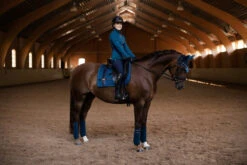 Equestrian Stockholm Dressage Saddle Pad Monaco Blue No Boundaries -Equestrian Supplies nb monaco blue dressyr full 3