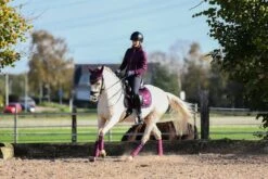 Equestrian Stockholm Dressage Saddle Pad Purple Gold -Equestrian Supplies purple gold cob set esstockholm