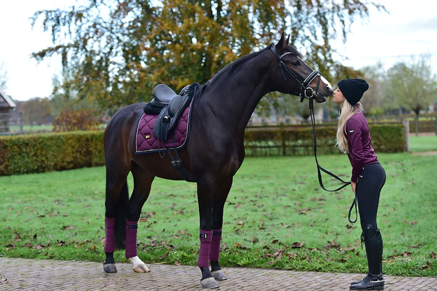 Equestrian Stockholm Bandages Purple Gold 5 Equestrian Stockholm Bandages Purple Gold - Image 5
