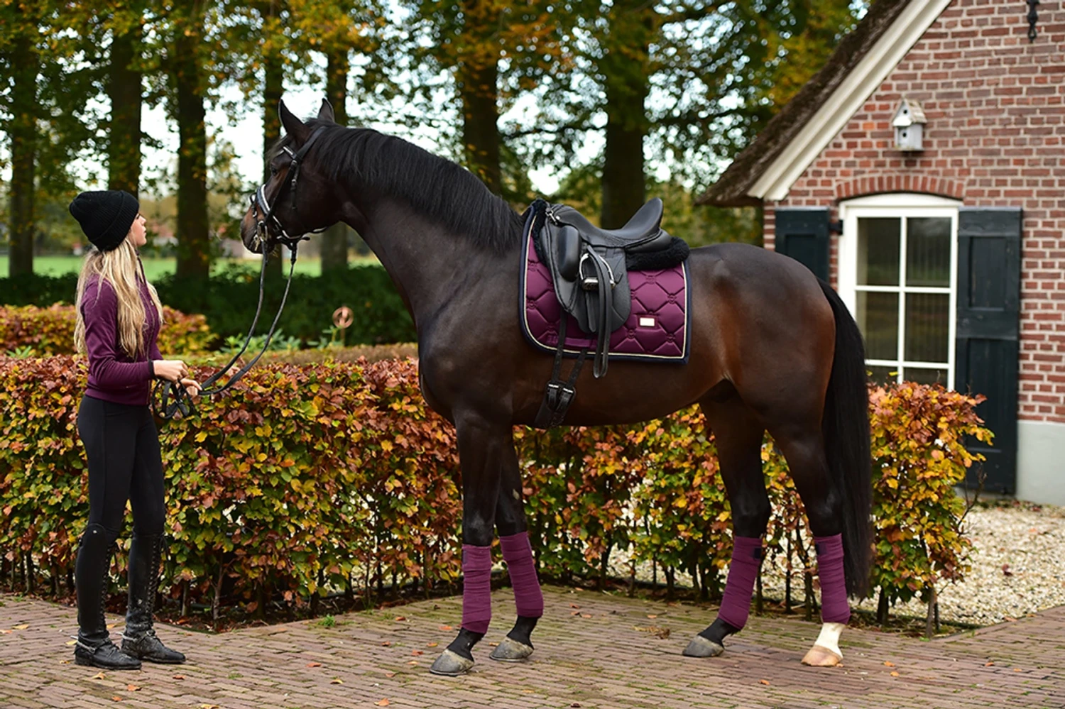 Equestrian Stockholm Bandages Purple Gold 4 Equestrian Stockholm Bandages Purple Gold - Image 4