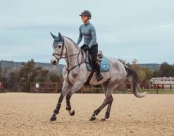 Equestrian Stockholm Ear Bonnet Steel Blue -Equestrian Supplies steelblue jumpingset esstockholm 0d0d38ac 7dff 4d38 8ec7 974b5b9b6d84