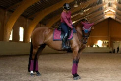 Equestrian Stockholm Dressage Saddle Pad Timeless Rose -Equestrian Supplies timele4