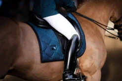 Equestrian Stockholm Elite Dressage Breeches White 9 Equestrian Stockholm Elite Dressage Breeches White -Equestrian Supplies whitebelite breeches dressage ridbyxa dressur reithosen rijbroek dressuur on3